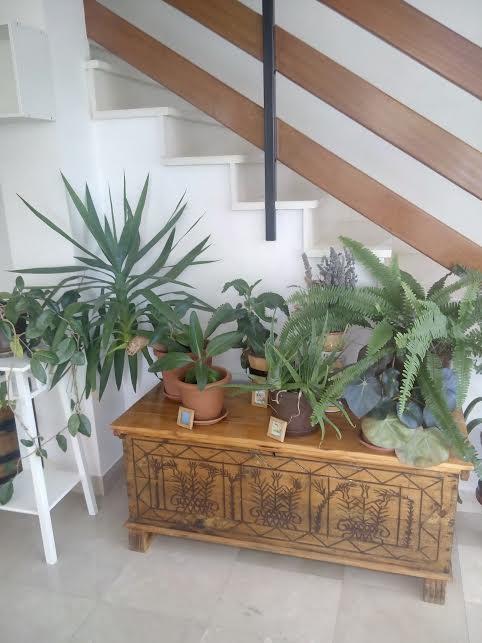 Apartmani Maretimo Primosten Luaran gambar